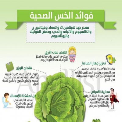 معلومات غذائية-فوائد الخس الصحية لجسمك معلومات غذائية-فوائد الخس الصحية لجسمك