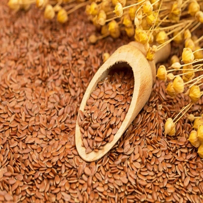 لن تستغني عن أكل العنب لن تستغني عن أكل العنب
