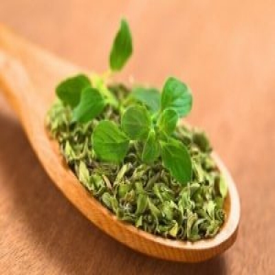 معلومات غذائية-اخطار واضرار البردقوش وآثاره الجانبية معلومات غذائية-اخطار واضرار البردقوش وآثاره الجانبية