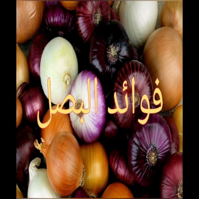 معلومات غذائية-فوائد البصل للجسم وأنواعه ومختلف المعلومات الصحية الهامة عنه معلومات غذائية-فوائد البصل للجسم وأنواعه ومختلف المعلومات الصحية الهامة عنه