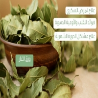 فوائد الغار للبشرة