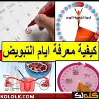 الدورة الشهرية عندك 30 يوم اعرفى امتى ايام التبويض للحمل