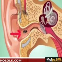 يمكن أن يساعد كثرة التبول في تقليل التوتر والقلق