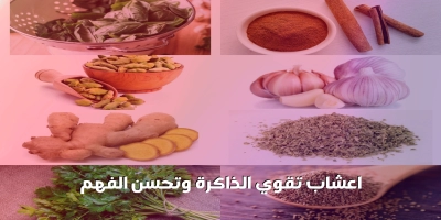 4 اعشاب تقوي الذاكرة جيدا .. تعرف عليها