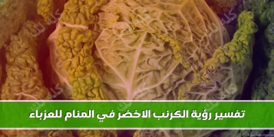 تفسير وتحليل رؤية الكرنب الاخضر في المنام للعزباء