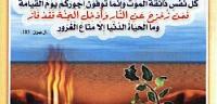 تعرف ما هو نعيم القبر وعذابه