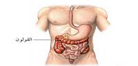 أين مكان القولون في جسم الإنسان