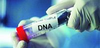 تعرف ما هو تحليل dna