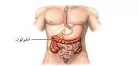 اين يوجد ويقع القولون في جسم الإنسان
