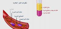 تعرف على ما هى مكونات الدم