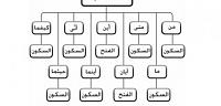 تعرف على ما هى ادوات الشرط